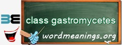 WordMeaning blackboard for class gastromycetes